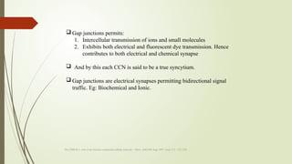 Comprehensive Review of Functional Matrix Hypothesis in Craniofacial ...