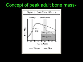 Concept of peak adult bone mass-
 