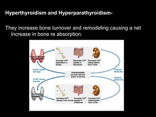 Hyperthyroidism and Hyperparathyroidism-
They increase bone turnover and remodeling causing a net
increase in bone re absorption.
 