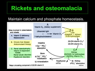 Rickets and osteomalaciaRickets and osteomalacia
Maintain calcium and phosphate homeostasis.
 