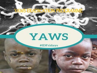 YAWS ERADICATIONPROGRAMME
 