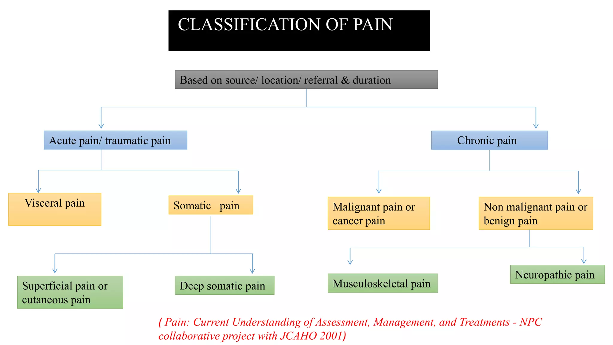 pain & pain pathways | PPTX