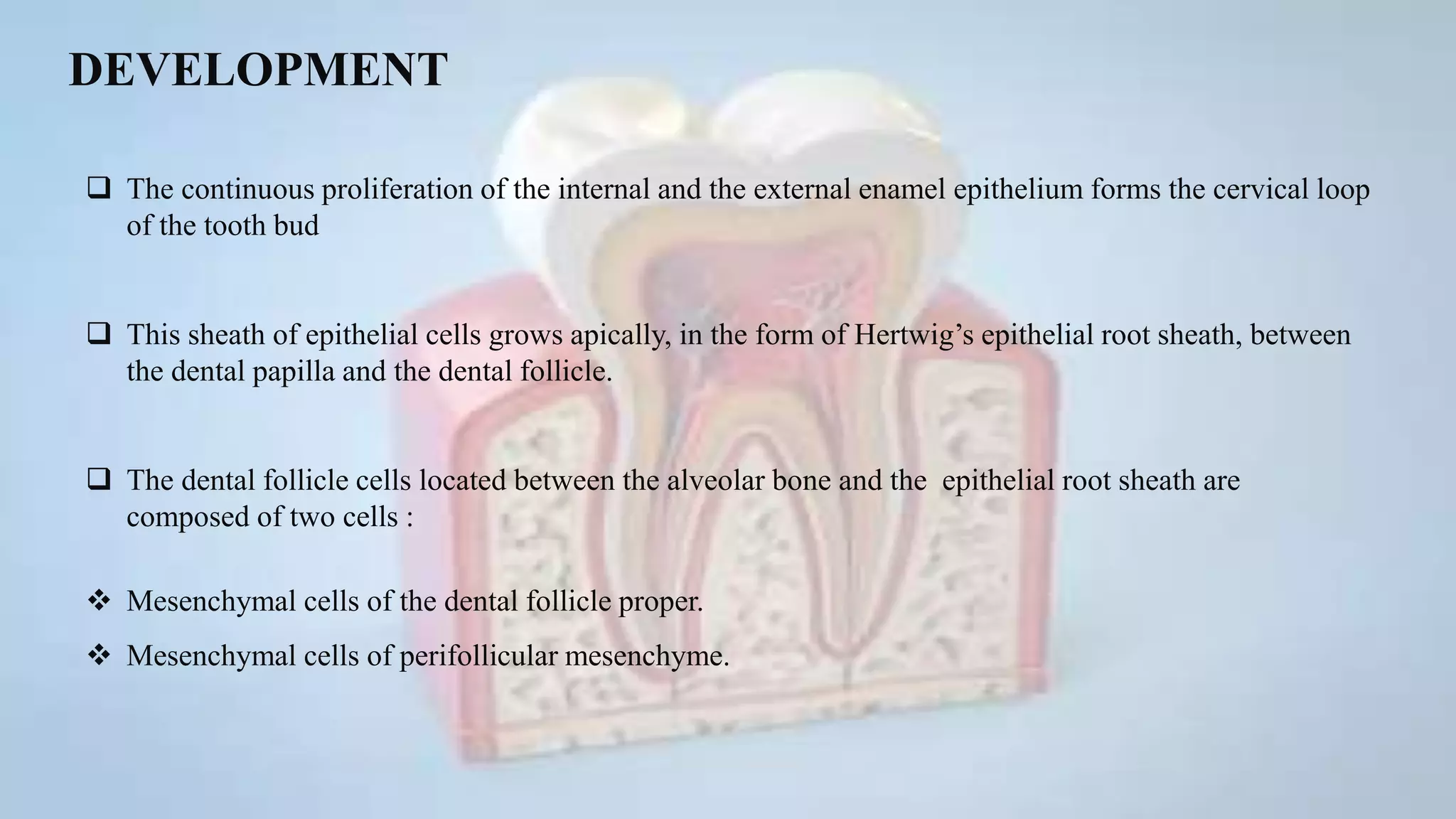 PERIODONTAL LIGAMENT | PPTX