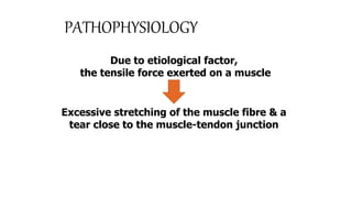 PATHOPHYSIOLOGY
Due to etiological factor,
the tensile force exerted on a muscle
Excessive stretching of the muscle fibre & a
tear close to the muscle-tendon junction
 