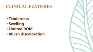 • Tenderness
• Swelling
• Limited ROM
• Bluish discoloration
CLINICAL FEATURES
 