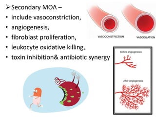 Secondary MOA –
• include vasoconstriction,
• angiogenesis,
• fibroblast proliferation,
• leukocyte oxidative killing,
• toxin inhibition& antibiotic synergy
 