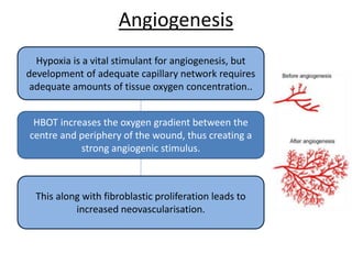 Angiogenesis
Hypoxia is a vital stimulant for angiogenesis, but
development of adequate capillary network requires
adequate amounts of tissue oxygen concentration..
This along with fibroblastic proliferation leads to
increased neovascularisation.
HBOT increases the oxygen gradient between the
centre and periphery of the wound, thus creating a
strong angiogenic stimulus.
 