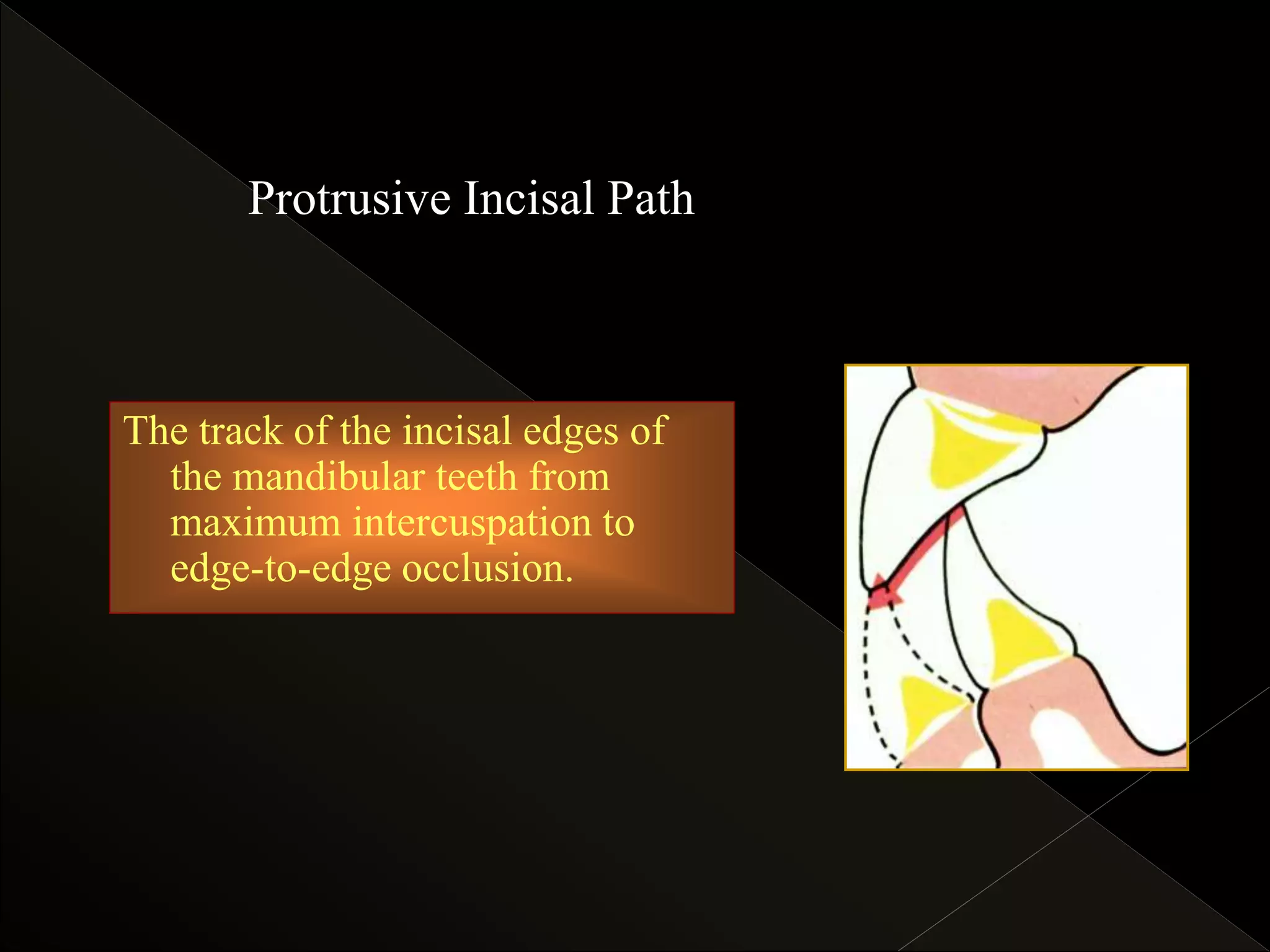 Mandibular movements and determinants | PPTX