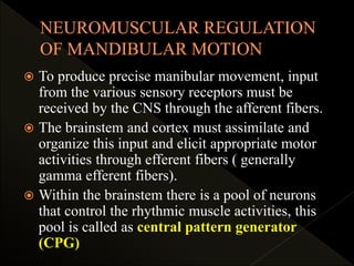  To produce precise manibular movement, input
from the various sensory receptors must be
received by the CNS through the afferent fibers.
 The brainstem and cortex must assimilate and
organize this input and elicit appropriate motor
activities through efferent fibers ( generally
gamma efferent fibers).
 Within the brainstem there is a pool of neurons
that control the rhythmic muscle activities, this
pool is called as central pattern generator
(CPG)
 