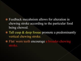  Feedback mecahnism allows for alteration in
chewing stroke according to the particular food
being chewed.
 Tall cusp & deep fossae promote a predominantly
vertical chewing stroke.
 Flat/ worn teeth encourage a broader chewing
stroke.
 