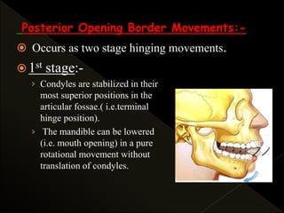 Posterior Opening Border Movements:-
 Occurs as two stage hinging movements.
 1st stage:-
› Condyles are stabilized in their
most superior positions in the
articular fossae.( i.e.terminal
hinge position).
› The mandible can be lowered
(i.e. mouth opening) in a pure
rotational movement without
translation of condyles.
 