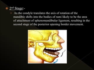 2nd Stage:-
› As the condyle translates the axis of rotation of the
mandible shifts into the bodies of rami likely to be the area
of attachment of sphenomandibular ligament, resulting in the
second stage of the posterior opening border movement.
 