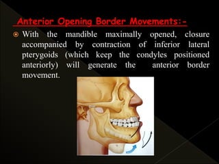 Anterior Opening Border Movements:-
 With the mandible maximally opened, closure
accompanied by contraction of inferior lateral
pterygoids (which keep the condyles positioned
anteriorly) will generate the anterior border
movement.
 