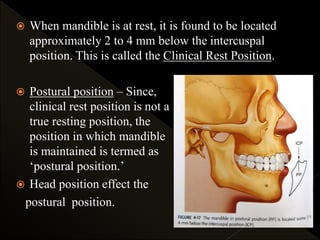  When mandible is at rest, it is found to be located
approximately 2 to 4 mm below the intercuspal
position. This is called the Clinical Rest Position.
 Postural position – Since,
clinical rest position is not a
true resting position, the
position in which mandible
is maintained is termed as
‘postural position.’
 Head position effect the
postural position.
 