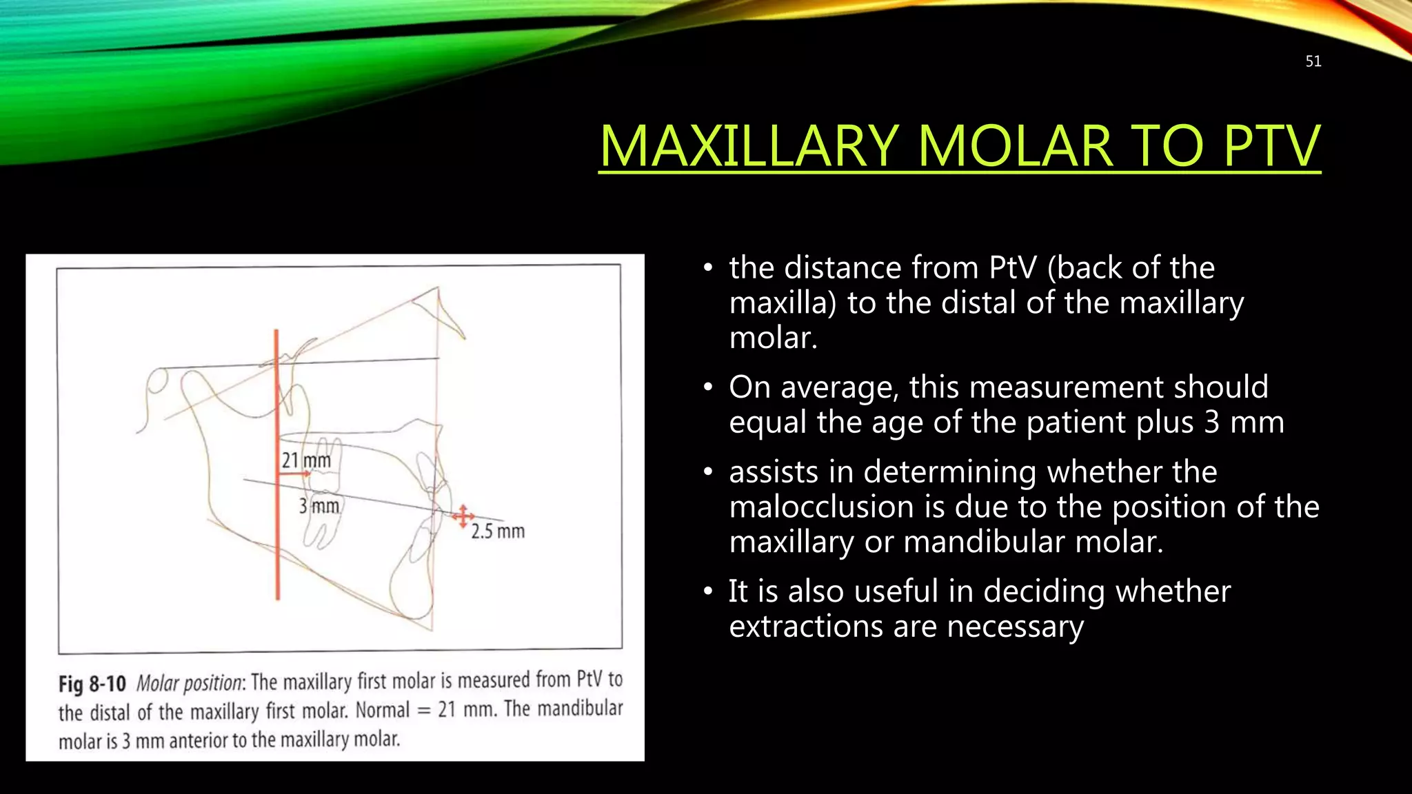 MAXILLARY MOLAR TO PTV
• the distance from PtV (back of the
maxilla) to the distal of the maxillary
molar.
• On average, this measurement should
equal the age of the patient plus 3 mm
• assists in determining whether the
malocclusion is due to the position of the
maxillary or mandibular molar.
• It is also useful in deciding whether
extractions are necessary
51
 