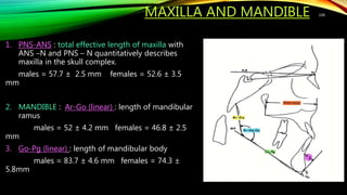 MAXILLA AND MANDIBLE
1. PNS-ANS : total effective length of maxilla with
ANS –N and PNS – N quantitatively describes
maxilla in the skull complex.
males = 57.7 ± 2.5 mm females = 52.6 ± 3.5
mm
2. MANDIBLE : Ar-Go (linear) : length of mandibular
ramus
males = 52 ± 4.2 mm females = 46.8 ± 2.5
mm
3. Go-Pg (linear) : length of mandibular body
males = 83.7 ± 4.6 mm females = 74.3 ±
5.8mm
108
 