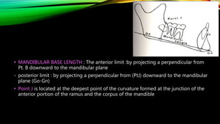 117
• MANDIBULAR BASE LENGTH : The anterior limit :by projecting a perpendicular from
Pt. B downward to the mandibular plane
- posterior limit : by projecting a perpendicular from (PtJ) downward to the mandibular
plane (Go-Gn)
• Point J is located at the deepest point of the curvature formed at the junction of the
anterior portion of the ramus and the corpus of the mandible
 