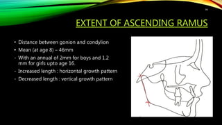 EXTENT OF ASCENDING RAMUS
• Distance between gonion and condylion
• Mean (at age 8) – 46mm
- With an annual of 2mm for boys and 1.2
mm for girls upto age 16.
- Increased length : horizontal growth pattern
- Decreased length : vertical growth pattern
94
 