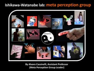 Alvaro Cassinelli / Meta Perception Group leader | PPTX