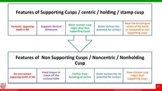© Ramaiah University of Applied Sciences
12
Faculty of Dental Sciences
Features of Non Supporting Cusps / Noncentric / Nonholding
Cusp
Do not contact
opposing tooth in MI
Keep tongue or
cheek off the
occlusal table
Farther from
faciolingual centre
Outer inclines has no
potential for contact
Have sharper cusp
ridges than
supporting cusps
Features of Supporting Cusps / centric / holding / stamp cusp
Contacts opposing
teeth in MI
Supports Vertical
dimension
More rounder cusp
ridges than Non
supporting Cusps
Outer Inclines has
potential for contact
Near the faciolingual
centre of the tooth
as compared to non
supporting cusps
 