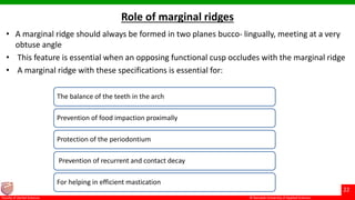 Occlusion in restorative dentistry | PPTX