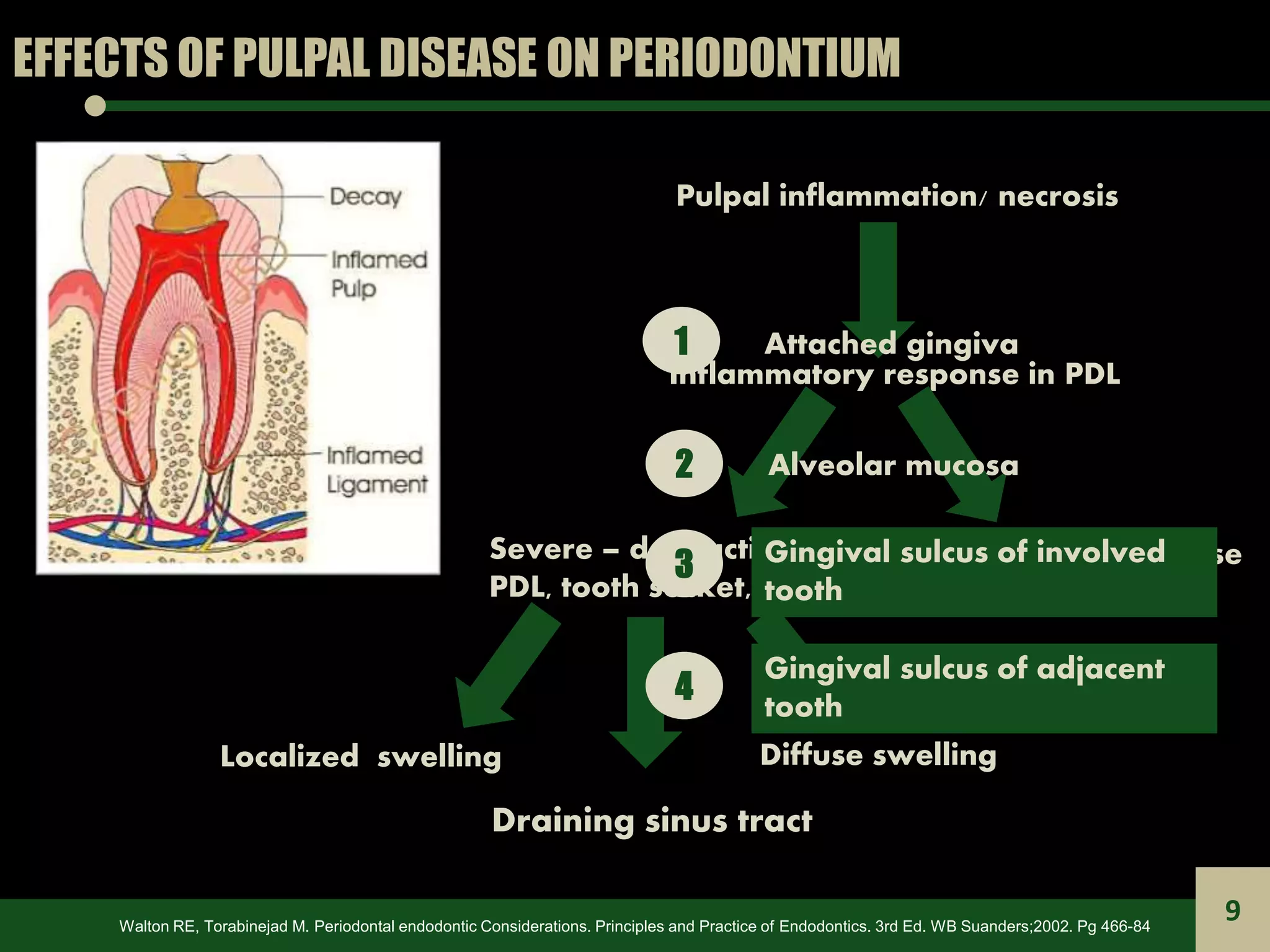 Endodontic Periodontal Relationship, ENDO PERIO LESION PPT