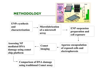 METHODOLOGY
ENPs synthesis
and
characterization
Microfabrication
of a microwell
array
ENP suspension
preparation and
cell exposure
Agarose encapsulation
of exposed cells and
electrophoresis
Comet
imaging
Assessing NP
mediated DNA
damage using comet
chip platform
Comparison of DNA damage
using traditional Comet assay
 