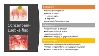 Ochsenbein-
Luebke flap
Indications
• esthetic crowns present
• periapical surgery
• anterior region
• long roots
• wide band of attached gingiva
Advantages
• ease in incision & reflection
• enhanced visibilty & access
• ease in repositioning
• Maintains integrity of gingival attachment
Disadvantages
• Horizontal component disrupts blood supply
• Vertical component crosses mucogingival junction
• difficult to alter if size of lesion misjudged
 