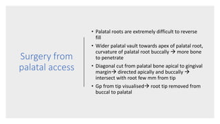 Surgery from
palatal access
• Palatal roots are extremely difficult to reverse
fill
• Wider palatal vault towards apex of palatal root,
curvature of palatal root buccally  more bone
to penetrate
• Diagonal cut from palatal bone apical to gingival
margin directed apically and buccally 
intersect with root few mm from tip
• Gp from tip visualised root tip removed from
buccal to palatal
 