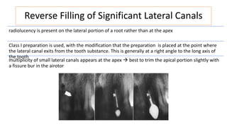 Reverse Filling of Significant Lateral Canals
radiolucency is present on the lateral portion of a root rather than at the apex
Class I preparation is used, with the modification that the preparation is placed at the point where
the lateral canal exits from the tooth substance. This is generally at a right angle to the long axis of
the tooth
multiplicity of small lateral canals appears at the apex  best to trim the apical portion slightly with
a fissure bur in the airotor
 