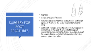 SURGERY FOR
ROOT
FRACTURES
• Diagnosis
• Choices of Surgical Therapy
• fracture in apical third of root and sufficient root length
is present remove the apical fragment after canal
filling
• root length available is insufficient or fracture occurs in
middle third of the root  removal of the apical
fragment and placement of a chrome-cobalt pin through
the prepared canal and into the tissues to restore the
previous crown-root ratio.
 
