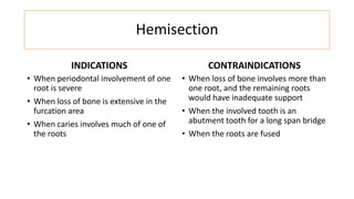 Hemisection
INDICATIONS
• When periodontal involvement of one
root is severe
• When loss of bone is extensive in the
furcation area
• When caries involves much of one of
the roots
CONTRAINDICATIONS
• When loss of bone involves more than
one root, and the remaining roots
would have inadequate support
• When the involved tooth is an
abutment tooth for a long span bridge
• When the roots are fused
 