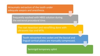 Atraumatic extraction of the tooth under
adequate asepsis and anesthesia.
frequently washed with HBSS solution during
the extraoral procedural time.
The root resection and retrofilling done with
ultrasonic tips and MTA.
Tooth reinserted into socket and the buccal and
lingual cortical plates are manually compressed.
Semirigid temporary splint
 