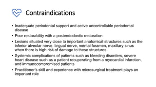 Contraindications
• Inadequate periodontal support and active uncontrollable periodontal
disease
• Poor restorability with a postendodontic restoration
• Lesions situated very close to important anatomical structures such as the
inferior alveolar nerve, lingual nerve, mental foramen, maxillary sinus
when there is high risk of damage to these structures
• Systemic complications of patients such as bleeding disorders, severe
heart disease such as a patient recuperating from a myocardial infarction,
and immunocompromised patients
• Practitioner’s skill and experience with microsurgical treatment plays an
important role
 