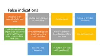 False indications
Presence of an
incompletely formed
apex
Marked overextension
of canal filling
Persistent pain
Failure of previous
treatment
Extensive destruction
of periapical tissue and
bone involving one
third or more of the
root apex.
Root apex that appears
to be involved in a
cystic condition
Presence of crater-
shaped erosion of the
root apex
Internal resorption.
Extreme apical
curvature
Fracture of root apex
with pulpal death
 