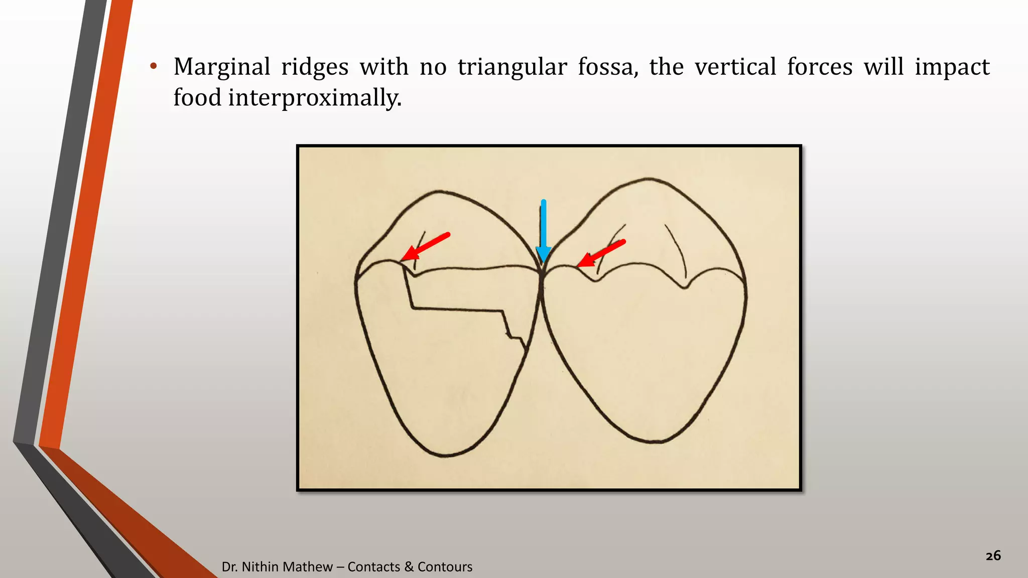 Contacts & Contours | PDF