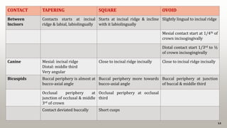 12
CONTACT TAPERING SQUARE OVOID
Between
Incisors
Contacts starts at incisal
ridge & labial, labiolingually
Starts at incisal ridge & incline
with it labiolingually
Slightly lingual to incisal ridge
Mesial contact start at 1/4th of
crown incisogingivally
Distal contact start 1/3rd to ½
of crown incisogingivally
Canine Mesial: incisal ridge
Distal: middle third
Very angular
Close to incisal ridge incisally Close to incisal ridge incisally
Bicuspids Buccal periphery is almost at
bucco-axial angle
Buccal periphery more towards
bucco-axial angle
Buccal periphery at junction
of buccal & middle third
Occlusal periphery at
junction of occlusal & middle
3rd of crown
Occlusal periphery at occlusal
third
Contact deviated buccally Short cusps
 