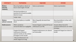 13
CONTACT TAPERING SQUARE OVOID
Molars
(mesial
contact)
Buccal periphery almost at
bucco-axial angle of tooth
Same as premolars Same as premolars
Occlusal periphery at
junction of occlusal & middle
third of crown
Large cusps
Molars
(distal contact)
Buccal periphery at middle
third
More lingually deviated than
mesial
Buccal periphery in line with
central groove
Embrassures Wide variations
Incisal & labial are negligible
Incisal, lingual, occlusal & buccal
embrasures are NIL
Incisal, labial, buccal &
occlusal embrasures are wider
& deeper
Gingival & lingual
embrasures between
anterior teeth are the widest
& longest in the mouth
Gingival embrasures are almost
not noticeable
Gingival & lingual are short &
broad
- Buccal embrasures are
small, lingual are long
 