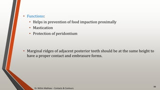 Dr. Nithin Mathew – Contacts & Contours
22
• Functions:
• Helps in prevention of food impaction proximally
• Mastication
• Protection of peridontium
• Marginal ridges of adjacent posterior teeth should be at the same height to
have a proper contact and embrasure forms.
 