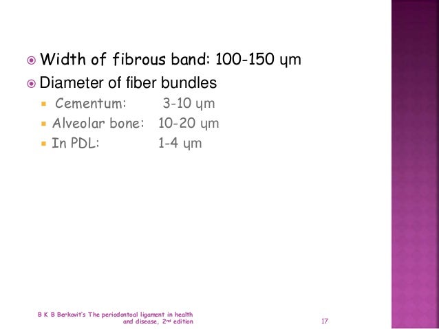 Periodontal Ligament In Health Part 2