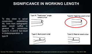 seminar 5 Significance of Root Apex Shruti.pptx