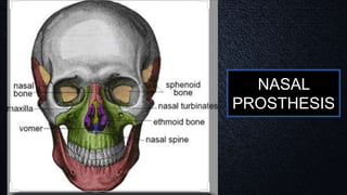 NASAL
PROSTHESIS
 