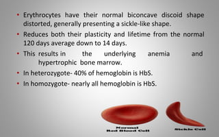 • Erythrocytes have their normal biconcave discoid shape
distorted, generally presenting a sickle-like shape.
• Reduces both their plasticity and lifetime from the normal
120 days average down to 14 days.
• This results in the underlying anemia and
hypertrophic bone marrow.
• In heterozygote- 40% of hemoglobin is HbS.
• In homozygote- nearly all hemoglobin is HbS.
 
