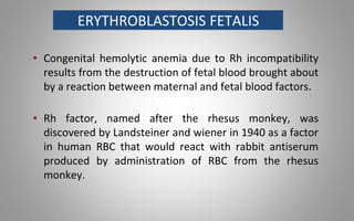 ERYTHROBLASTOSIS FETALIS
• Congenital hemolytic anemia due to Rh incompatibility
results from the destruction of fetal blood brought about
by a reaction between maternal and fetal blood factors.
• Rh factor, named after the rhesus monkey, was
discovered by Landsteiner and wiener in 1940 as a factor
in human RBC that would react with rabbit antiserum
produced by administration of RBC from the rhesus
monkey.
 