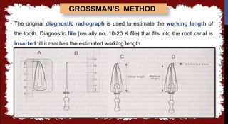 seminar 6 working length.pptx in detail all | PPTX