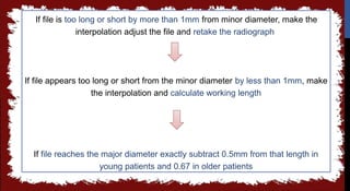seminar 6 working length.pptx in detail all | PPTX