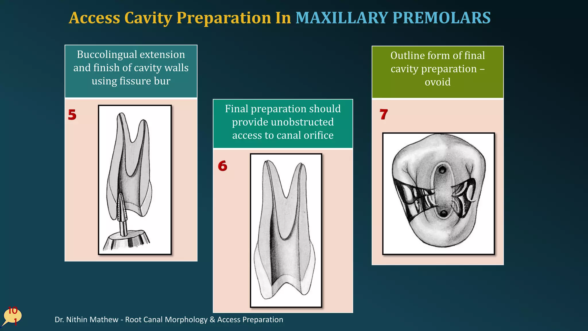Access Cavity Preparation In MAXILLARY PREMOLARS
10
1
Buccolingual extension
and finish of cavity walls
using fissure bur
Final preparation should
provide unobstructed
access to canal orifice
Outline form of final
cavity preparation –
ovoid
Dr. Nithin Mathew - Root Canal Morphology & Access Preparation
 