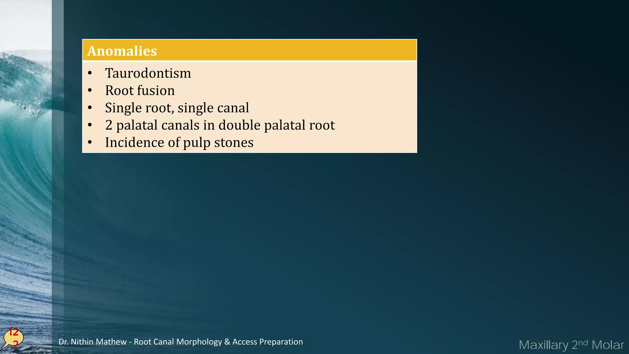 12
2
Anomalies
• Taurodontism
• Root fusion
• Single root, single canal
• 2 palatal canals in double palatal root
• Incidence of pulp stones
Maxillary 2nd MolarDr. Nithin Mathew - Root Canal Morphology & Access Preparation
 