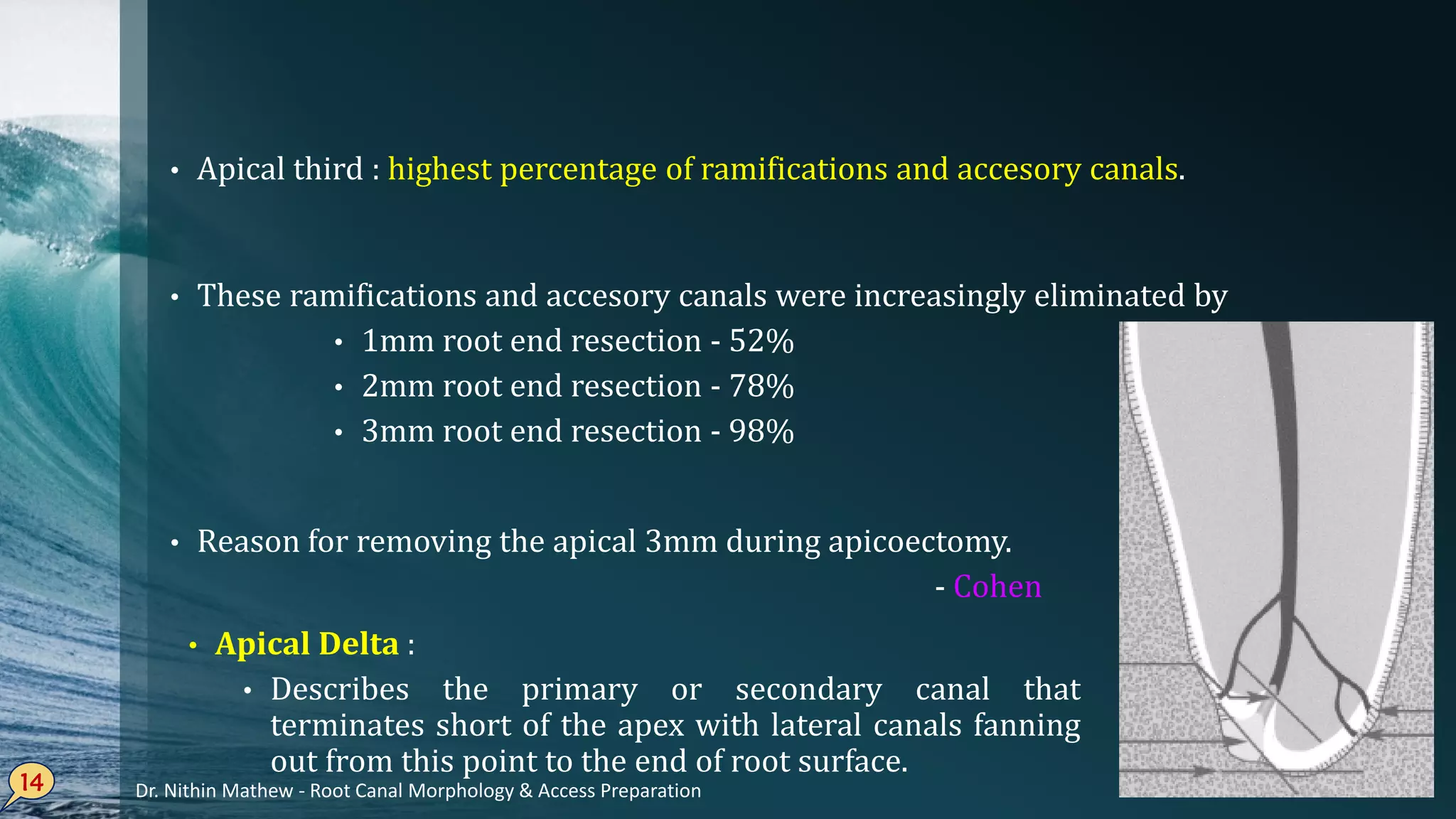 • Apical third : highest percentage of ramifications and accesory canals.
• These ramifications and accesory canals were increasingly eliminated by
• 1mm root end resection - 52%
• 2mm root end resection - 78%
• 3mm root end resection - 98%
• Reason for removing the apical 3mm during apicoectomy.
- Cohen
14
• Apical Delta :
• Describes the primary or secondary canal that
terminates short of the apex with lateral canals fanning
out from this point to the end of root surface.
Dr. Nithin Mathew - Root Canal Morphology & Access Preparation
 
