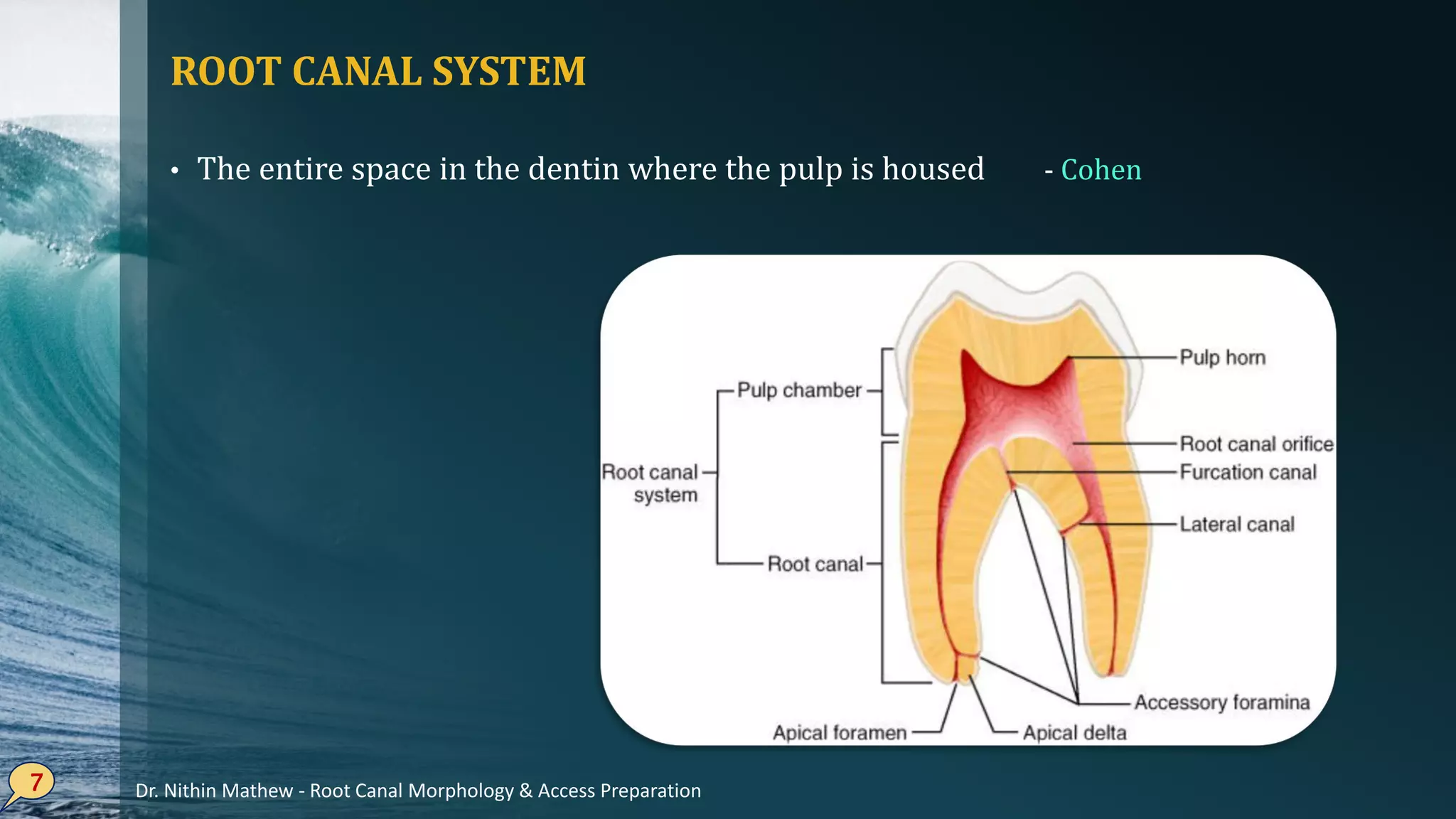 ROOT CANAL SYSTEM
• The entire space in the dentin where the pulp is housed - Cohen
7 Dr. Nithin Mathew - Root Canal Morphology & Access Preparation
 